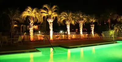landscape lighting installation services illuminating outdoor recreational areas in Clearwater, FL